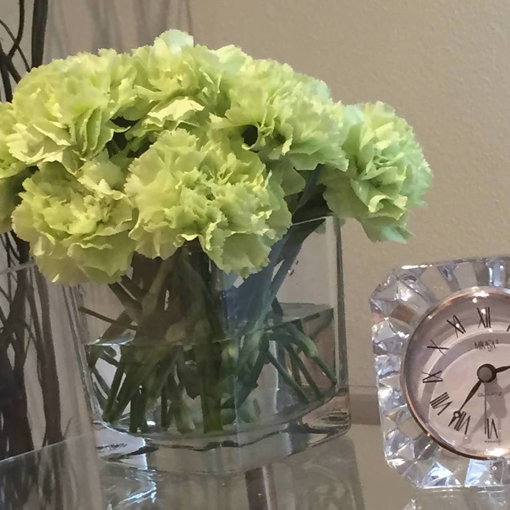 Meet your Posher, MJ